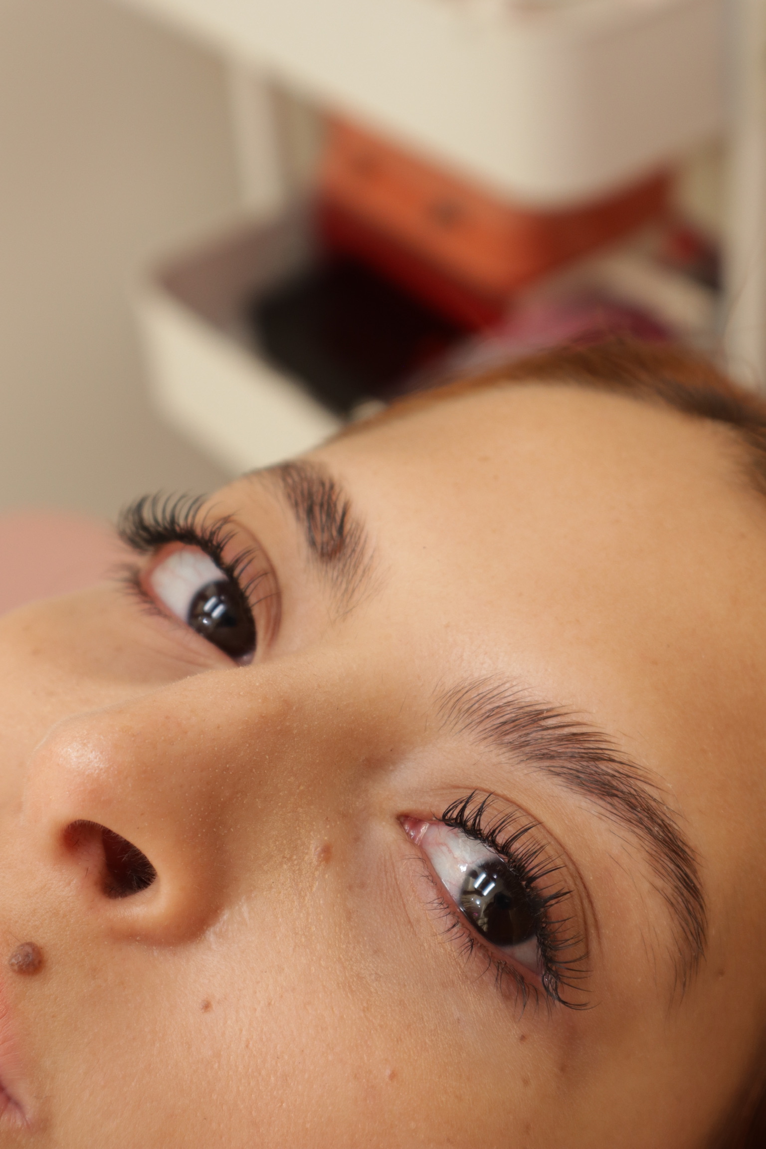 Brow Maintenance + Lashes